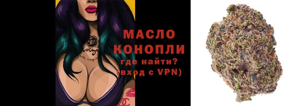 молекула духа Балахна
