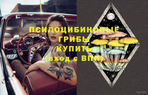 спиды Аркадак