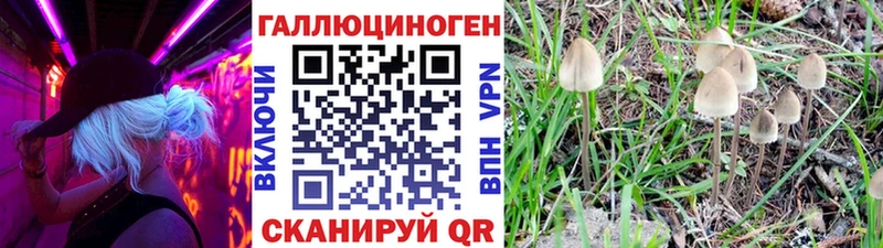 как найти закладки  Малоярославец  Галлюциногенные грибы Psilocybine cubensis 